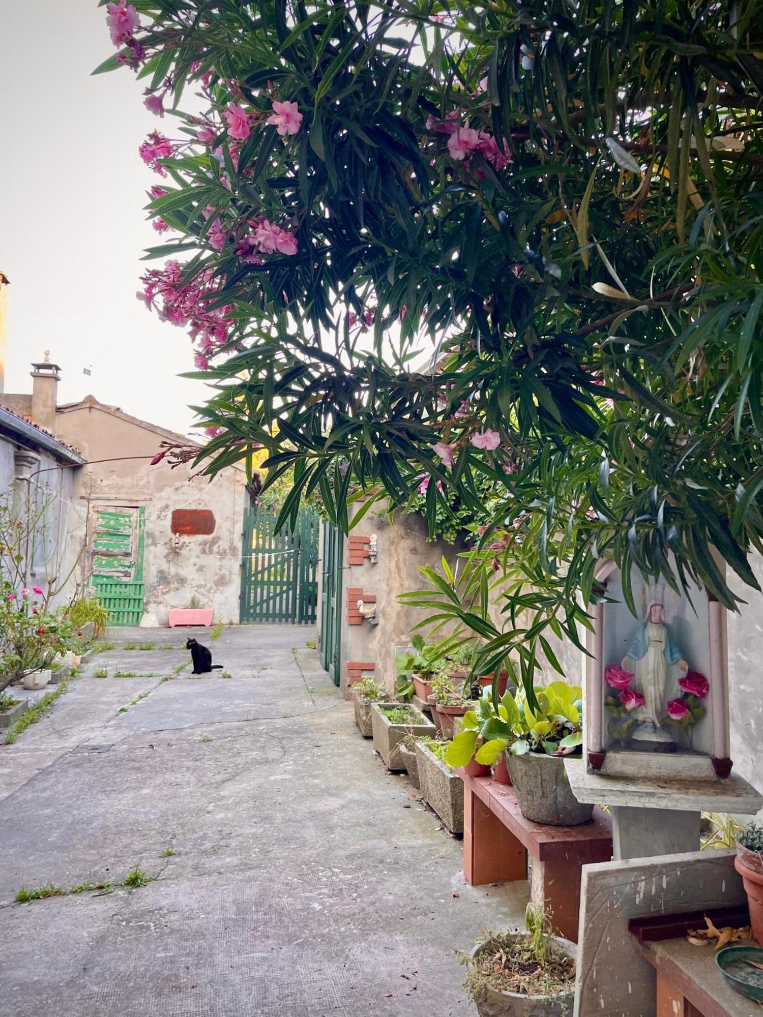 L'Encanto De Luna -Una Casa Autentica Comacchiese Comacchio Eksteriør billede